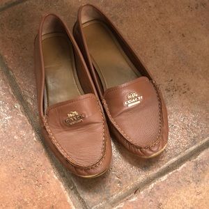 Coach drivers size 8